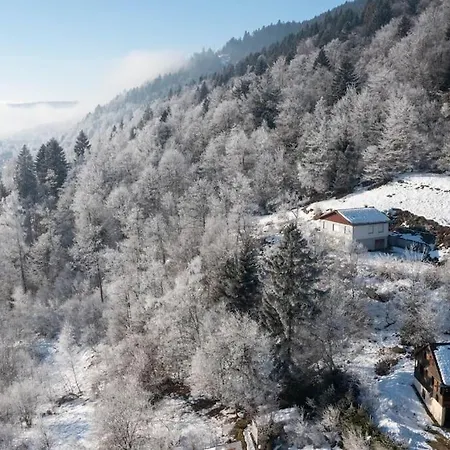 Charmant Chalet Hautes Vosges Proche De La Bresse *