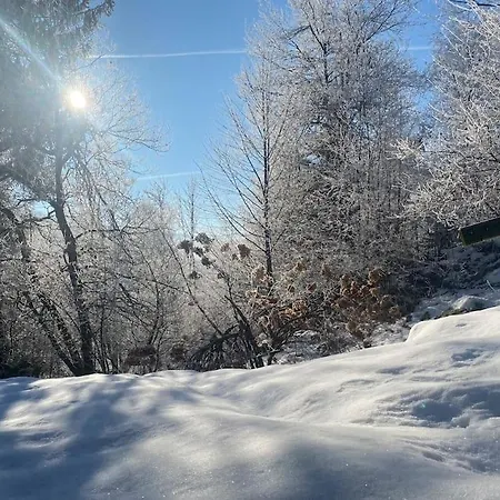 Chalet Charmant Chalet Hautes Vosges Proche De La Bresse