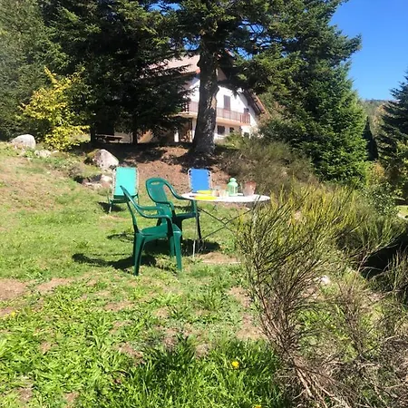 Charmant Chalet Hautes Vosges Proche De La Bresse